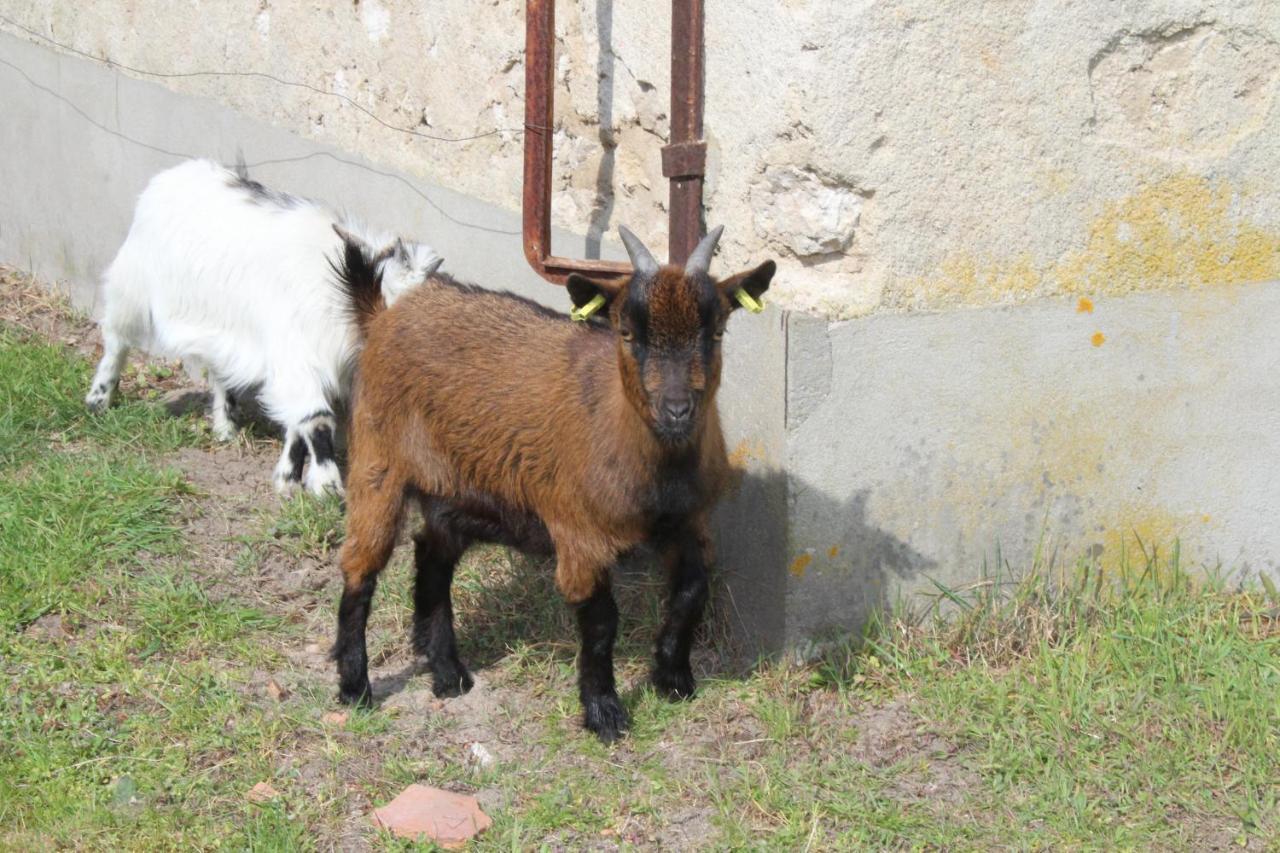 Ferme Des Poulardieres Villa Crouy-sur-Cosson ภายนอก รูปภาพ